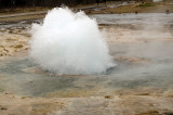 geysir