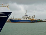 Djpivogur harbour