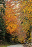 la splendeur de l'automne