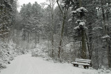 empty bench