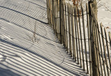 fence