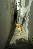 the streets of Tarifa