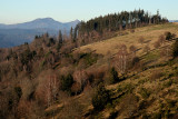 Vosges in winter.