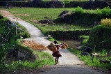 North of Tana Toraja, Sulawesi (Indonesia)