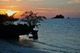 Batu Daka island, Togean islands, Gulf of Tomini, Central Sulawesi (Indonesia) - 5143