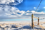 Winter  Fence Near Shamrock SK.