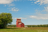 Prongua SK/Nelson Farms  July 2011