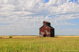 On a Private Farm North of Antler SK. Aug 2009