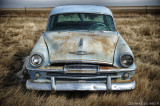 1954 Plymouth Savoy