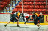 Lacrosse Action