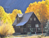 Striking setting for cabin surrounded by yellow leaves!