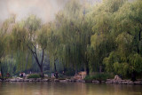 Sunday Afternoon in Zizhuyuan park