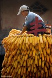 Ethnic Cultural Park.Harvest of the Corn IV