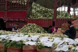 SHOUGUANG.The Vegetable Hall the biggest of China