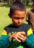 Ruddy Woodcreeper about to be released.