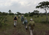 Early morning walk in Lamanai savanna.