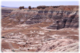 Painted Desert