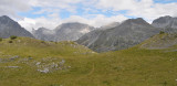 Alpine grassland with Edelweis G. rhelicanii and C. alpina