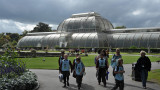 Kew Gardens and herbarium 2011