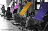 Weaving Colors