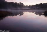 Early Morning On Dunns Swamp