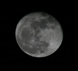 thebigmoonmarch2011