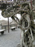 035 kyoto shrines and temples.JPG