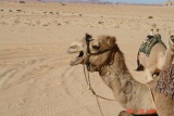 wadi rum in jordan_06.JPG