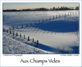 Empty fields ... (Jan 2008)