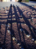 Labyrinth in Taos