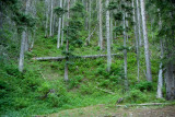 Hiking to Lost Lake