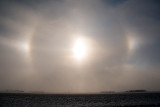 Winters Glory  ~  January 1  [15]