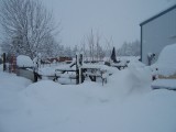 100_1742.jpg