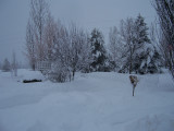 100_1757.jpg