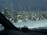 100_1791.jpg