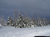 100_1794.jpg