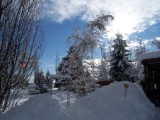 100_1808.jpg