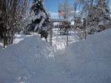 100_1809.jpg