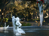 Forsyth Park Frozen