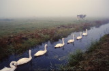 Waterland- Oost