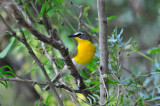 South Llano River SP 5-30-10 1176.JPG