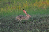 South Llano River SP 5-30-10 1280.JPG