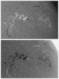 AR 1184  1183 6 April 2011