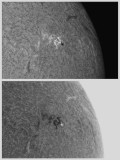 AR 1184 7 April 2011