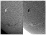 AR 1187 and Smudge Filament 10 April 2011