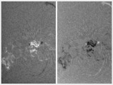 AR 1195 23 April 2011