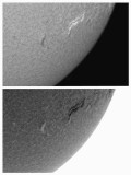 AR 1195 1 May 2011