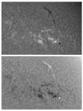 AR 1203 7 May 2011