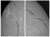 Filaments 20 November 2011