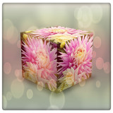 Flower Box.jpg